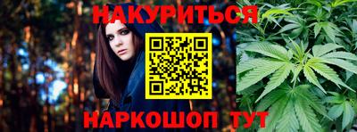шишки Кимры