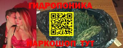 шишки Кимры