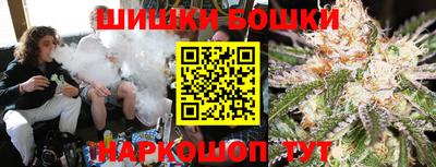 шишки Кимры