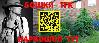 шишки Кимры