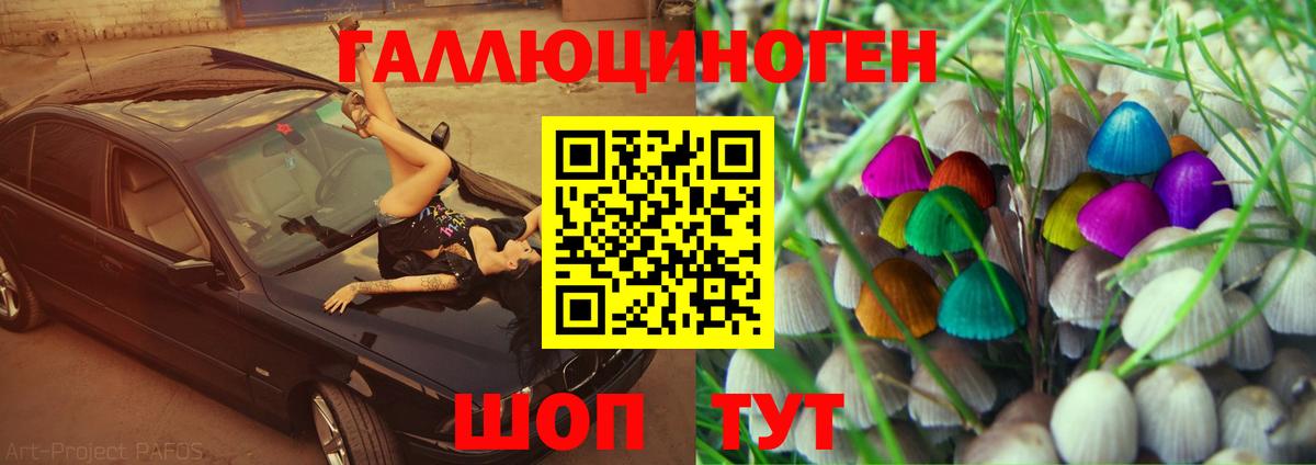 Галлюциногенные грибы Psilocybe Клинцы